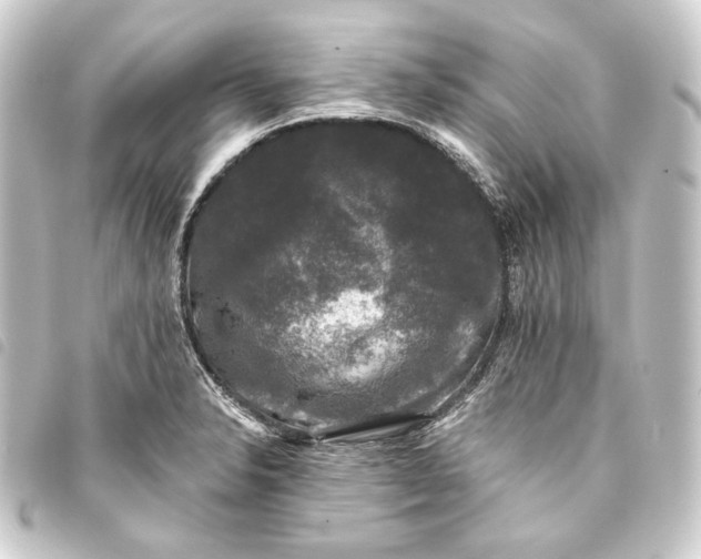 X0000093741326200710301056