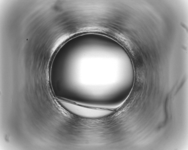 X0000093741328200710301056