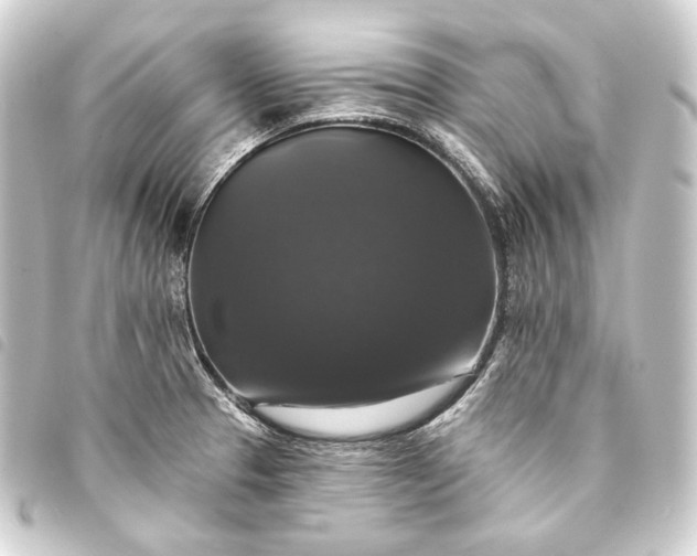 X0000093741329200710301056