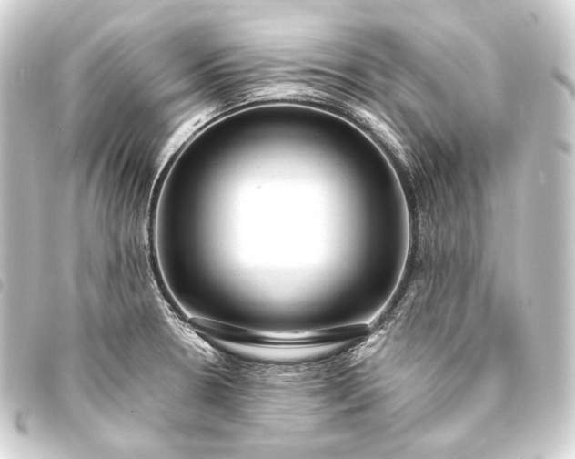 X0000093741330200710301056