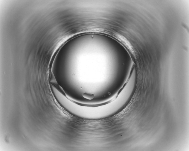 X0000093741332200710301056