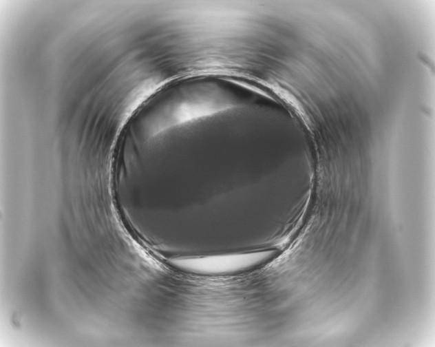 X0000093741333200710301056