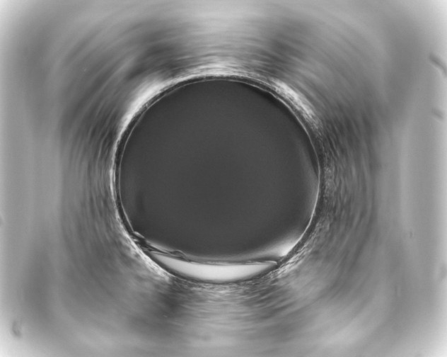 X0000093741334200710301056