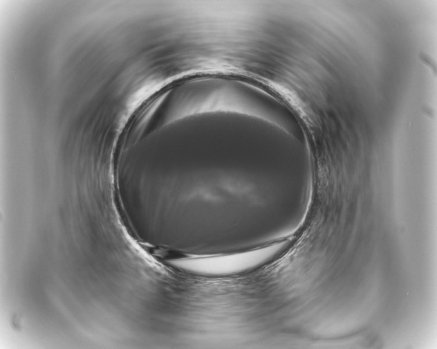 X0000093741335200710301056