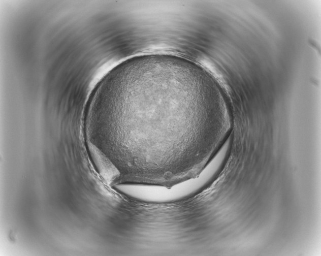 X0000093741336200710301056