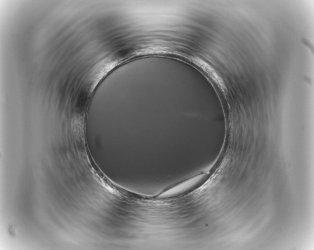 X0000093741337200710301056