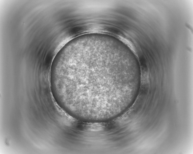 X0000093741338200710301056