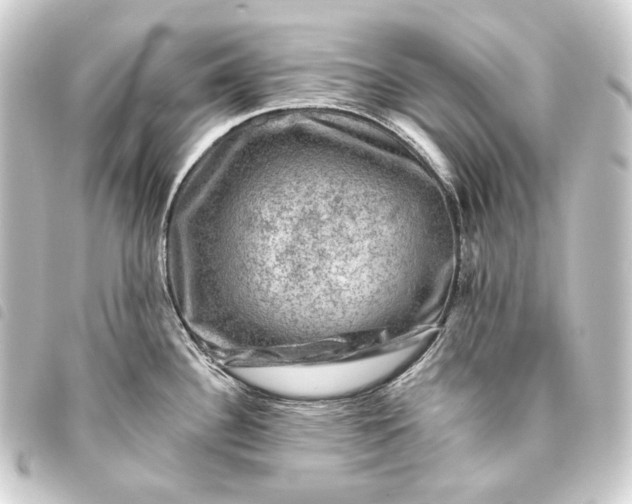 X0000093741340200710301056