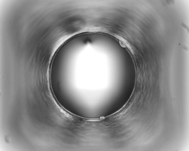 X0000093741343200710301056