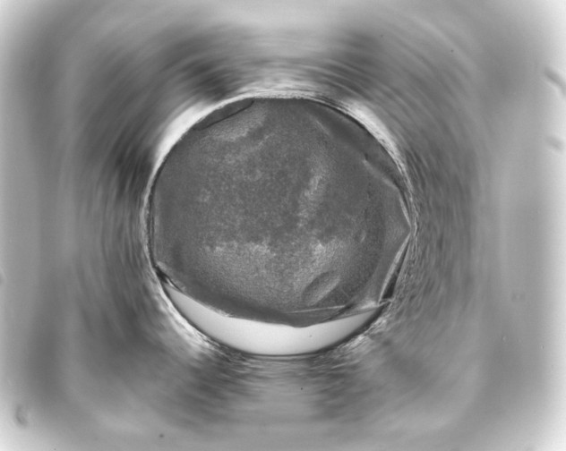 X0000093741344200710301056