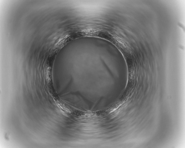 X0000093741346200710301056