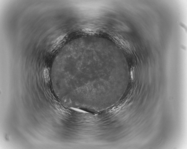 X0000093741347200710301056