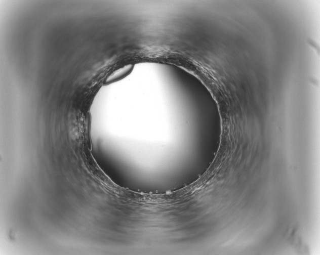 X0000093741349200710301056