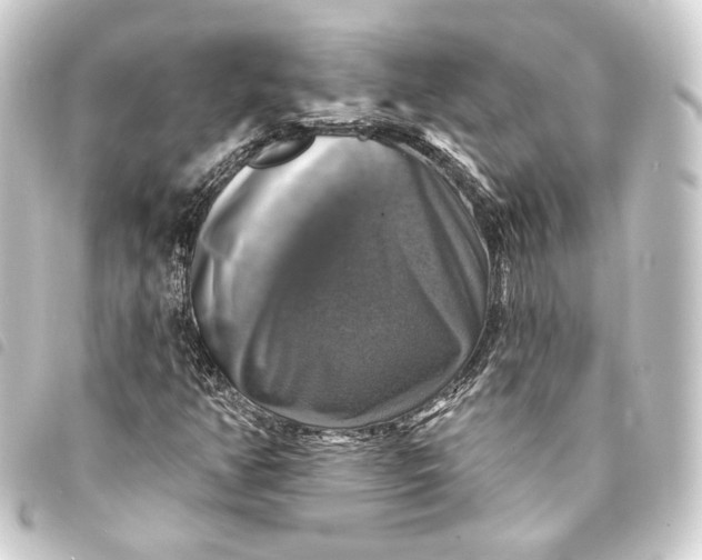 X0000093741350200710301056