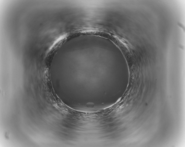 X0000093741351200710301056