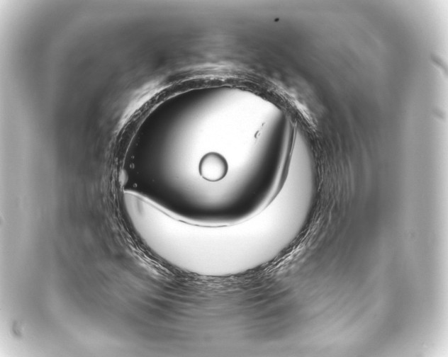 X0000093741352200710301056