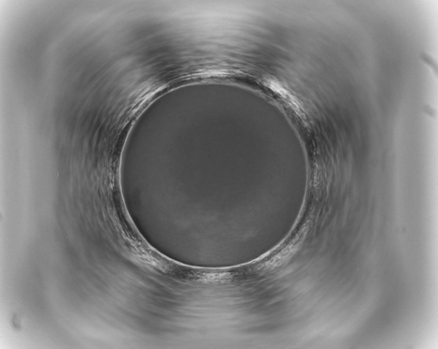 X0000093741353200710301056