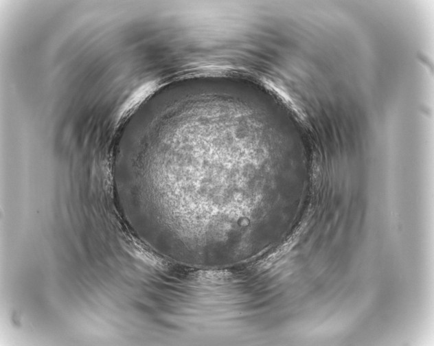 X0000093741354200710301056