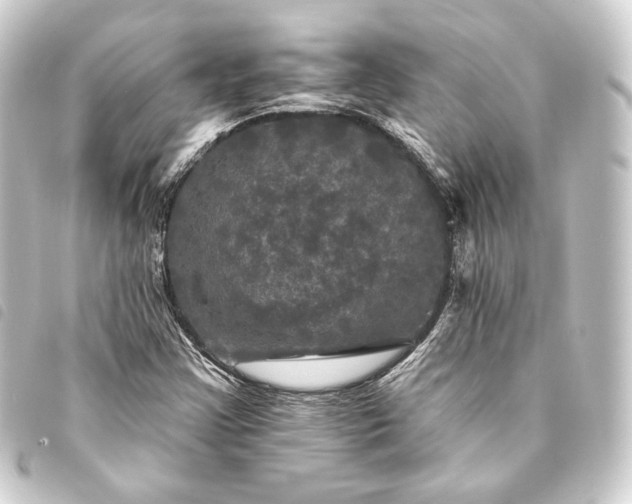 X0000093741355200710301056