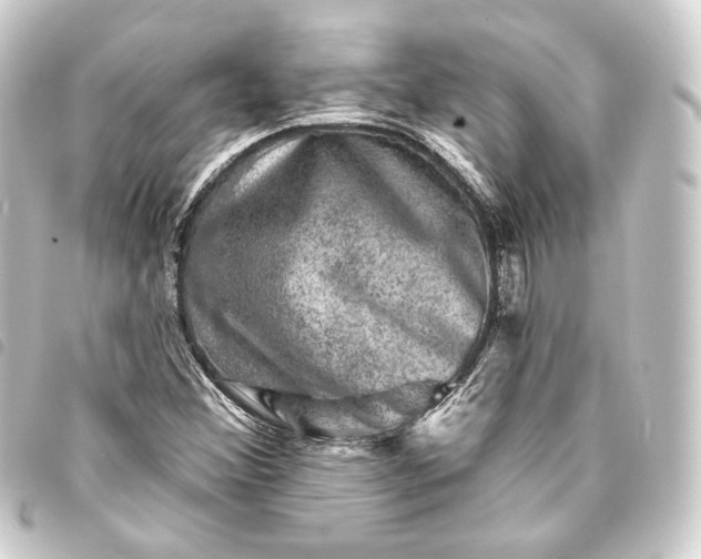 X0000093741356200710301056