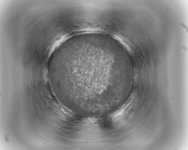 X0000093741357200710301056