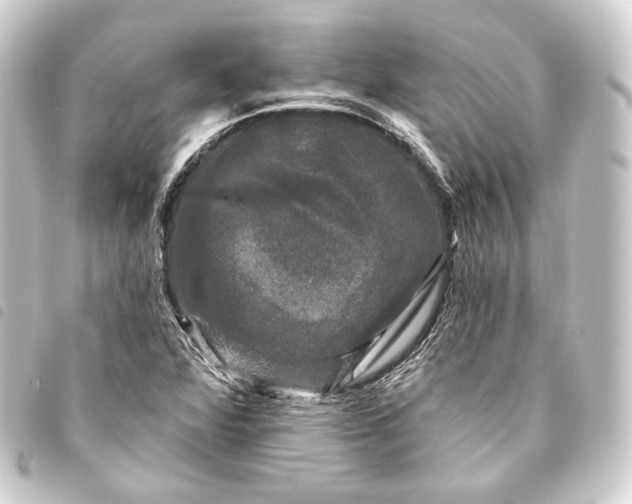 X0000093741360200710301056