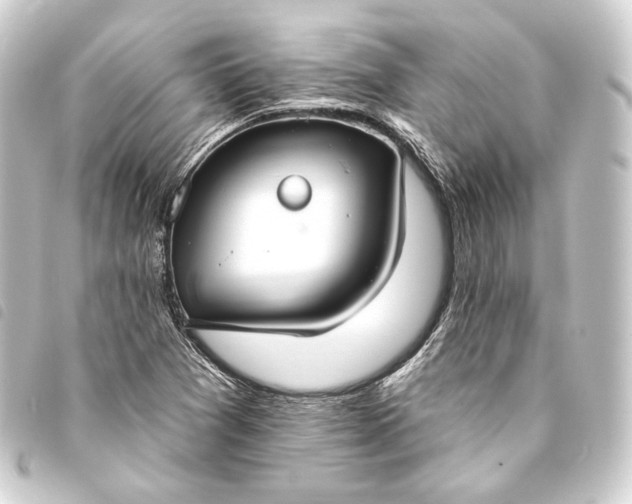 X0000093741361200710301056