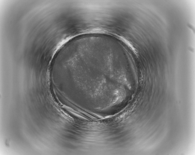 X0000093741364200710301056