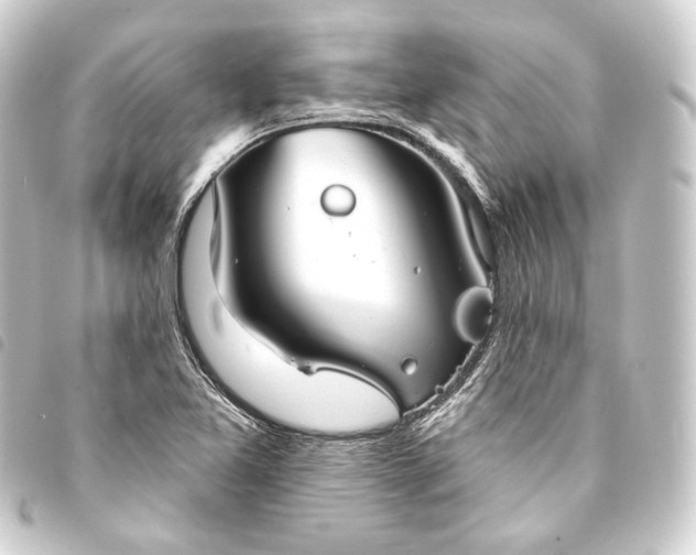 X0000093741365200710301056