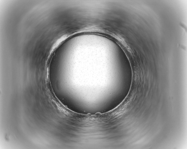 X0000093741366200710301056