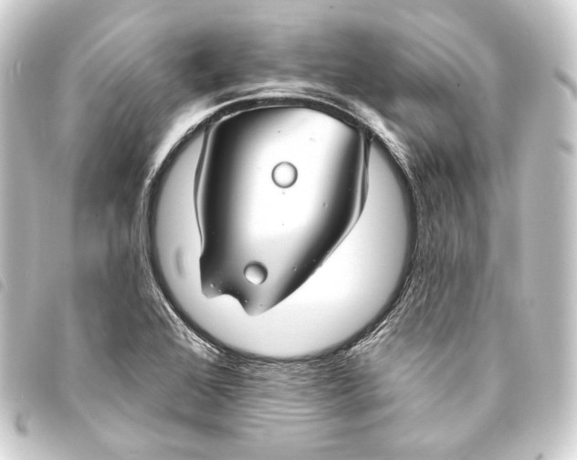 X0000093741368200710301056