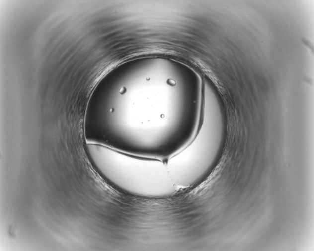 X0000093741369200710301056