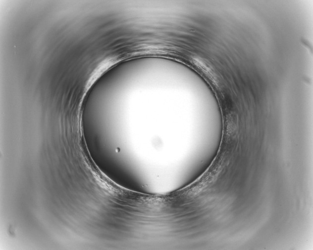 X0000093741370200710301056