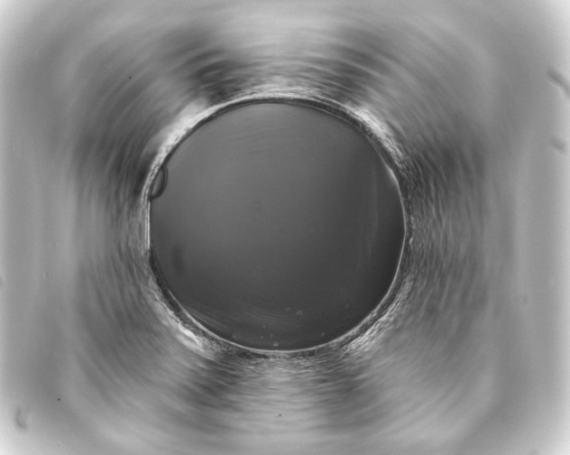 X0000093741371200710301056