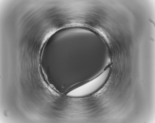 X0000093741373200710301056