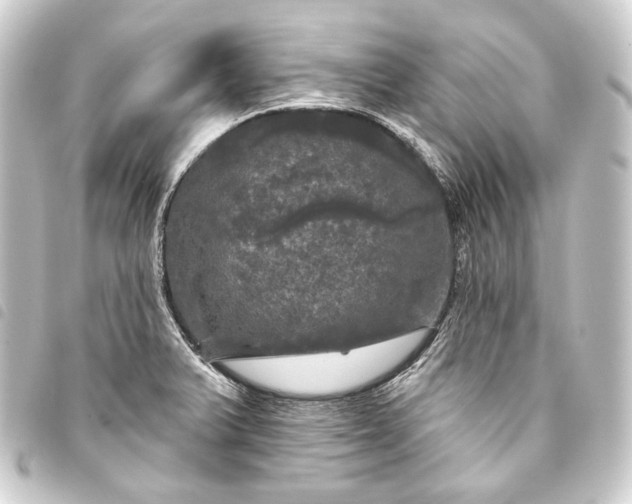 X0000093741375200710301056