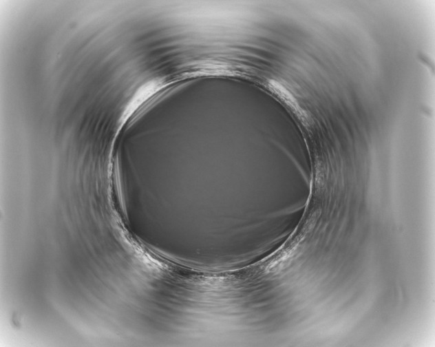 X0000093741378200710301055