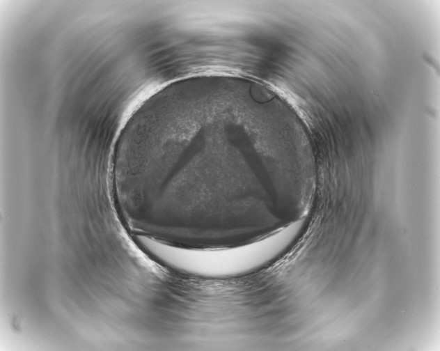 X0000093741379200710301055