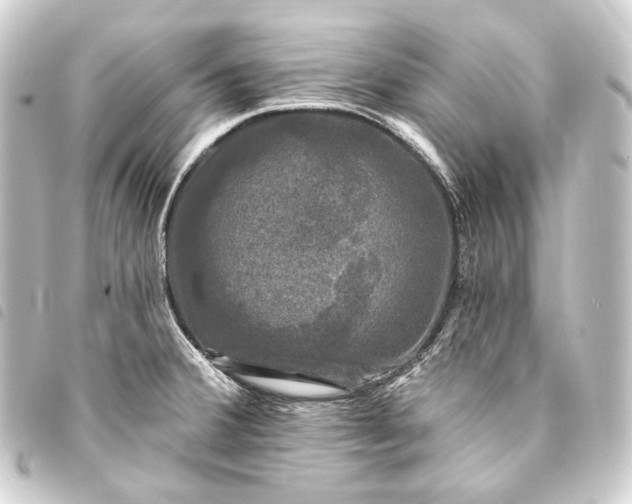 X0000093741380200710301055