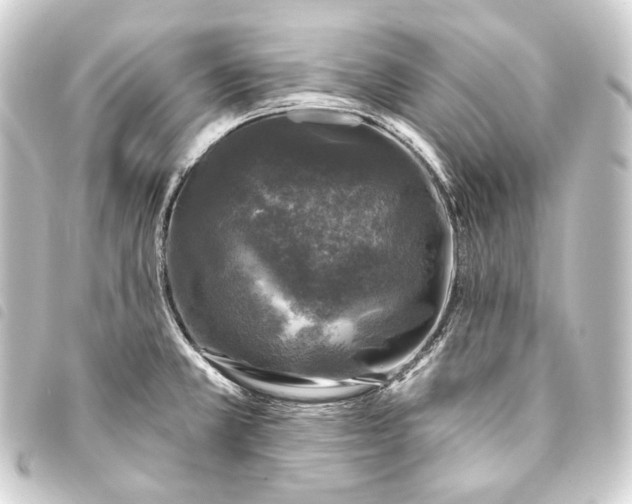 X0000093741381200710301055