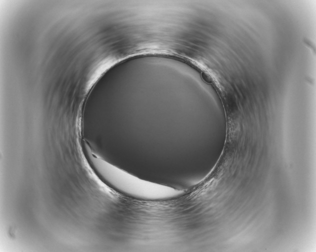 X0000093741383200710301055