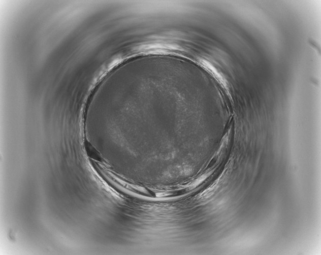 X0000093741384200710301055