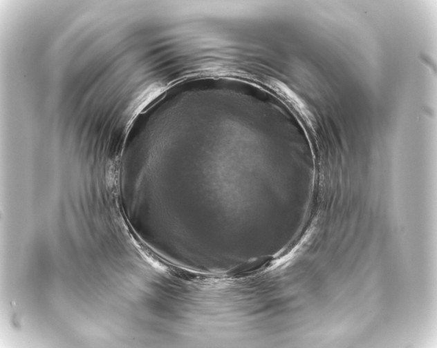 X0000093741385200710301055