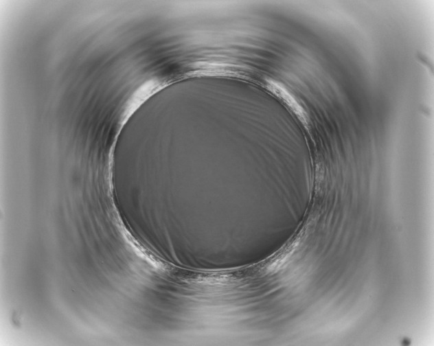 X0000093741386200710301055