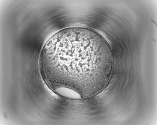 X0000093741387200710301055