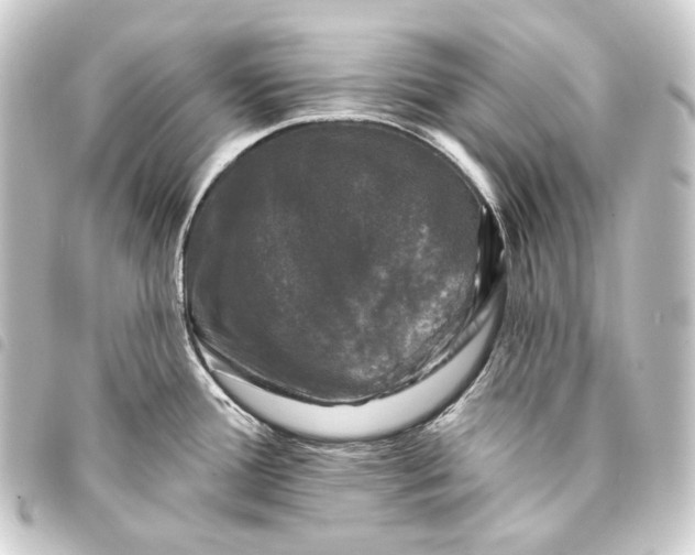 X0000093741388200710301055