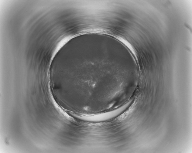 X0000093741389200710301055