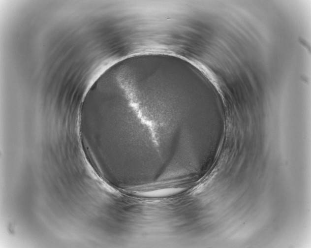 X0000093741390200710301055