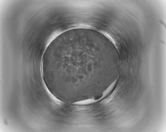 X0000093741391200710301055