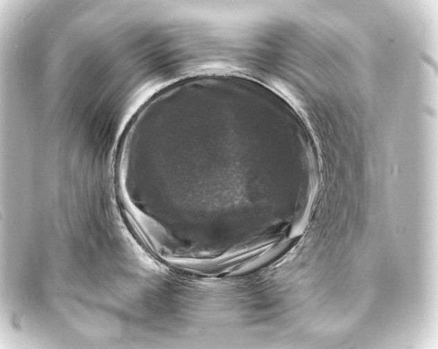 X0000093741392200710301055